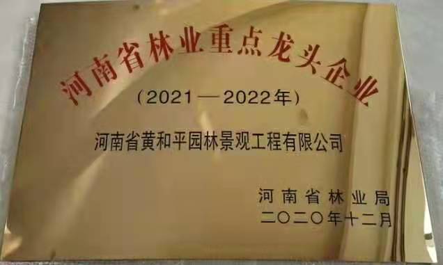 2020年省林业局龙头企业